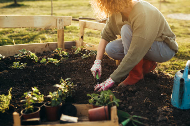 Keep Flowers Fresh